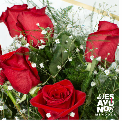 Alternative view of Dia de la Madre - Ramos de 6 Rosas Colombianas
