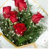 Rosas Colombianas